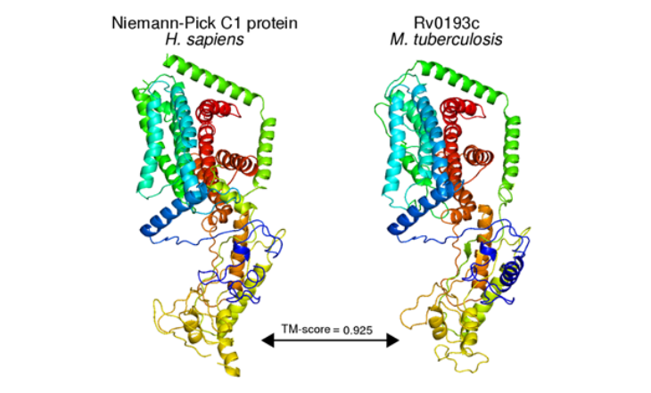 Annotation & Functional Genomics